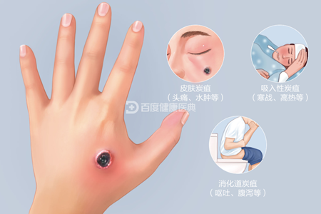 图片1_副本.png