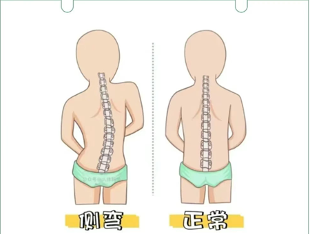 图片1_副本.png